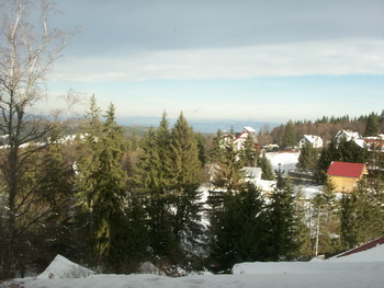 vila alexandra poiana brasov contact poiana brasov vila alexandra cazare in poiana brasov vila alexandra poiana brasov contact poiana brasov vila alexandra cazare in poiana brasov