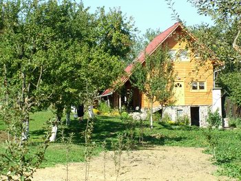 Cazare in Chinusu - Cabana Chinusu **, rezervari online in Chinusu: Pensiune ** cazare chinusu - Cazare in Chinusu - Cabana Chinusu **, rezervari online in Chinusu: Pensiune **