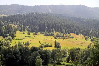 Lunca Pensiune Craiul, cazare in judetul Alba, comuna Vidra