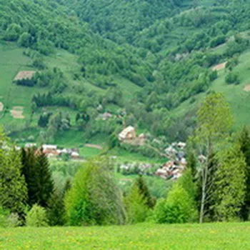 Lunca Pensiune Craiul, cazare in judetul Alba, comuna Vidra