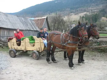 Lunca Pensiune Craiul, cazare in judetul Alba, comuna Vidra