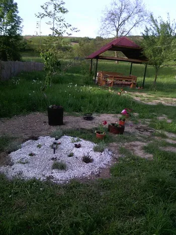 Szállás Kiskoh (Chiscau), Medve-barlang - Csendes Ház Panzió - Bihar megye