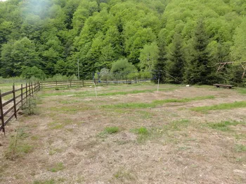 Cazare Coada Lacului Lesu - Vila Ozon - Stana de Vale - Muntii Bihor