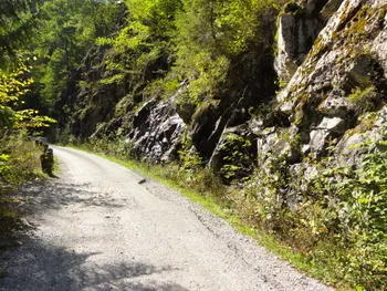 Cazare Coada Lacului Lesu - Vila Ozon - Stana de Vale - Muntii Bihor