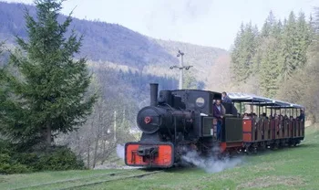 Cazare Comandau - Vila Alpin - judetul Covasna