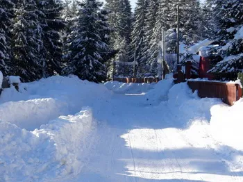 Cazare Comandau - Vila Alpin - judetul Covasna