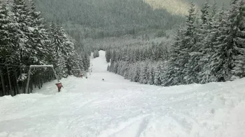 Cazare Harghita Bai - Cabana Verde - zona montana, schi, mofeta