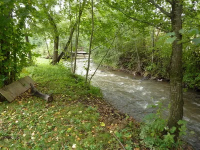 Cazare Izvoare - Pensiunea Balazs Matild - Judetul Harghita