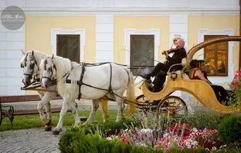 Cazare Ogra - Hotel Castel Haller - Judetul Mures