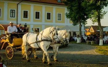 Cazare Ogra - Hotel Castel Haller - Judetul Mures