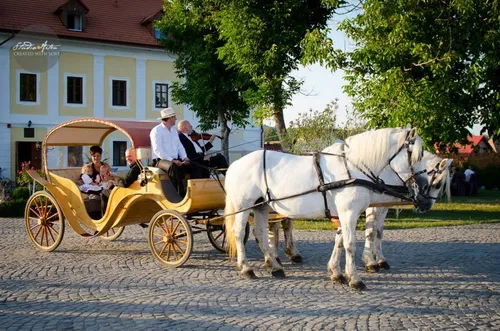 Cazare Ogra - Hotel Castel Haller - Judetul Mures