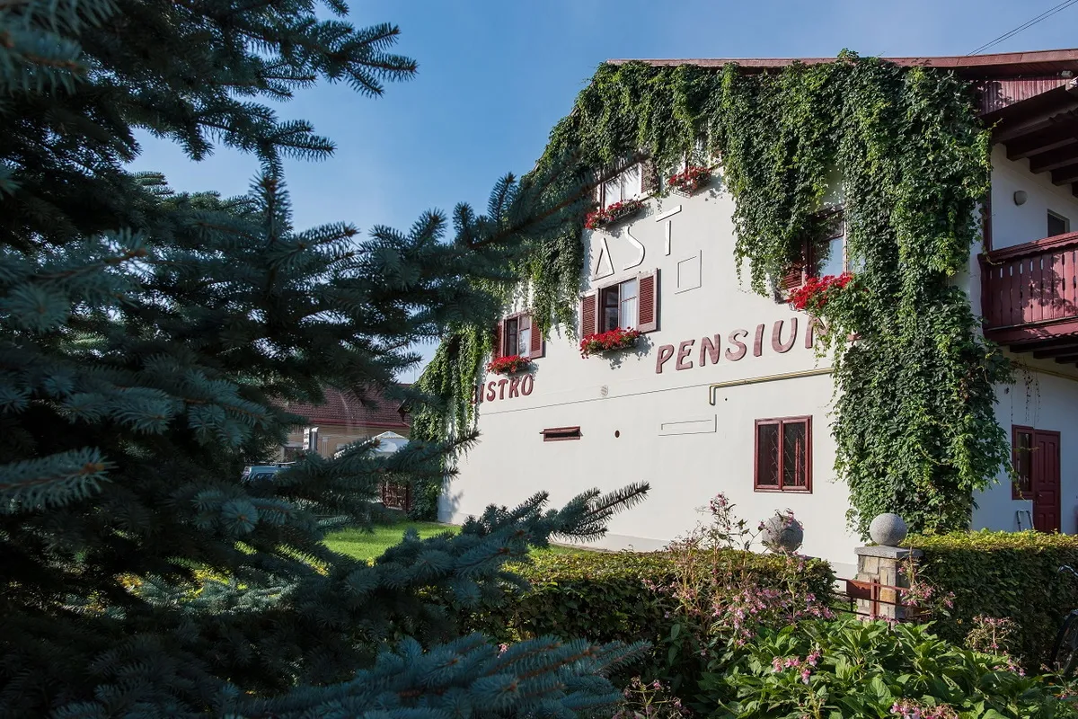 Szállás Radóc (Radauti) - Hotel Fast Panzió - Szucsáva megye - Suceava