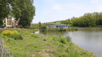 Cazare Rupea - Hotel Dumbrava - Judetul Brasov