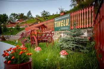 Cazare Sacele Brasov - Pensiunea Tinelu - Judetul Brasov