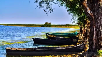 Cazare Delta Dunarii - Loc. Vulturu - Pensiunea Aqua Villa