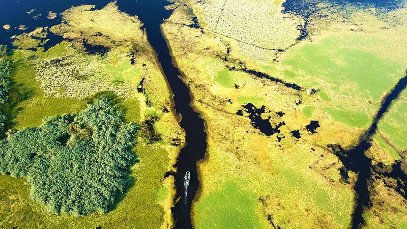 Romania Delta Dunarii - Romania Danube Delta