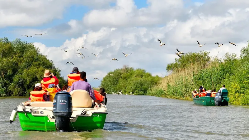 Madarak megfigyelése a Duna-deltában