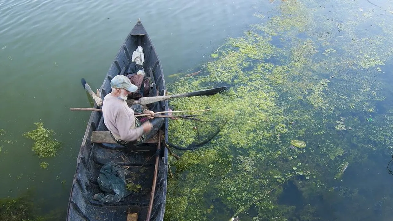 Romania Delta Dunarii - Romania Danube Delta