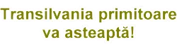 Turism in Romania-Transilvania, Transport, Excursii, Cazare-rezervari online
