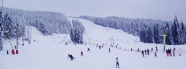 Partie de schi in Arieseni - Vartop Partia de schi Arieseni - Vartop