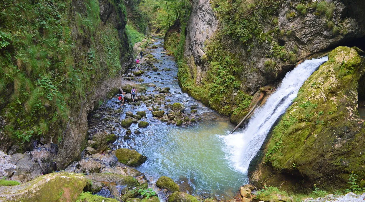 Padis | Muntii Apuseni | Cheile Galbenei