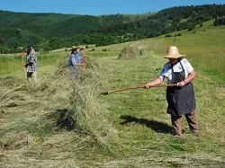 Prezentáció képekben: leírás, szállások, csomagajánlatok, programok, térkép, látványosságok Bikafalva Szállás