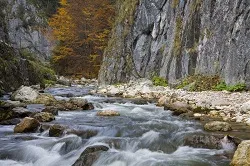 Prezentare in imagini: descriere, poze, harta, cazare, atractii–drumetii Cheile Bicazului Cazare