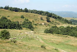 Prezentáció képekben: leírás, szállások, csomagajánlatok, programok, térkép, látványosságok Csernakeresztúr Szállás Prezentáció képekben: leírás, szállások, csomagajánlatok, programok, térkép, látványosságok Csernakeresztúr Szállás