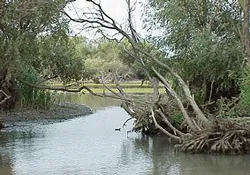 Prezentare in imagini: descriere, poze, harta, cazare, atractii–drumetii Delta Dunarii Cazare