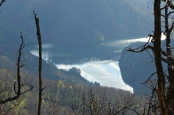 Prezentare in imagini: descriere, poze, harta, cazare, atractii–drumetii Lacul Firiza Cazare