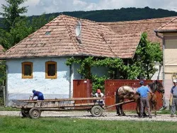 Turism Armaseni Cazare