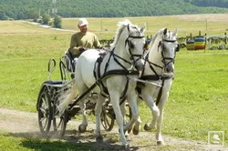 Prezentare in imagini: descriere, poze, harta, cazare, atractii–drumetii Odorheiu Secuiesc Cazare