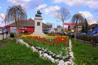 Prezentare in imagini: descriere, poze, harta, cazare, atractii–drumetii Sangeorgiu de Mures   Cazare