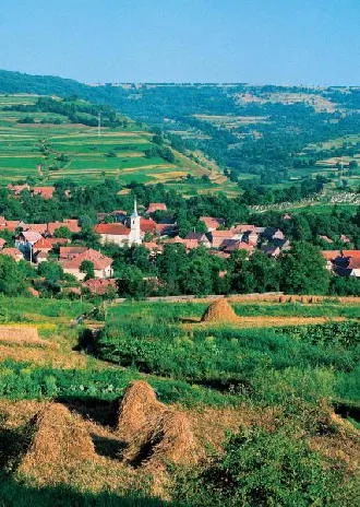 Prezentare in imagini: descriere, poze, harta, cazare, atractii–drumetii Satu Mare Cazare