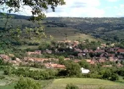 Prezentare in imagini: descriere, poze, harta, cazare, atractii–drumetii Satu Mare Cazare