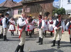 Prezentare in imagini: descriere, poze, harta, cazare, atractii–drumetii Satu Mare Cazare