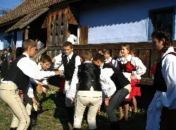 Prezentare in imagini: descriere, poze, harta, cazare, atractii–drumetii Satu Mare Cazare