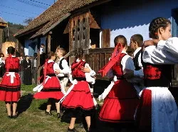 Prezentare in imagini: descriere, poze, harta, cazare, atractii–drumetii Satu Mare Cazare