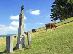 Prezentare in imagini: descriere, poze, harta, cazare, atractii–drumetii Sumuleu Ciuc Cazare